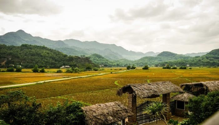 Mai-Chau